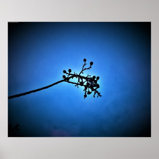 Winter Blue, Poster (Vorne)