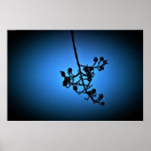 Winter Blue, Poster (Vorne)