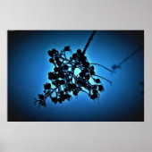 Winter Blue, Poster (Vorne)