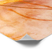 Winter Bluebird Abstrakt Grunge Poster (Ecke)