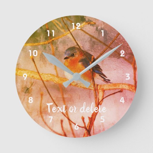Winter Bluebird Abstrakt Personalisiert  Runde Wanduhr (Vorderseite)