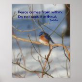Winter Bluebird Buddha Zitat Inspiration Poster (Vorne)