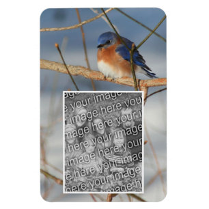 Winter Bluebird Frame kreieren Ihr eigenes Foto Magnet