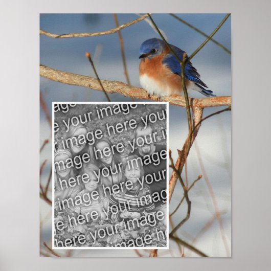 Winter Bluebird Frame kreieren Ihr eigenes Foto Poster (Vorne)