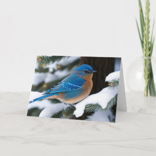 Winter Bluebird Karte