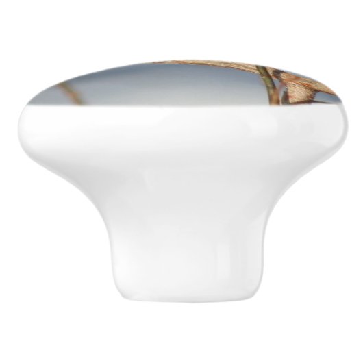 Winter Bluebird  Keramikknauf (Seitenansicht)