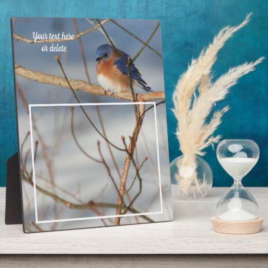 Winter Bluebird kreieren Ihr eigenes Foto Fotoplatte (Seite)