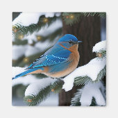 Winter Bluebird Magnet (Vorne)