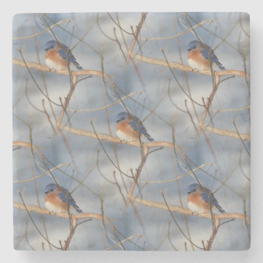 Winter Bluebird Nature Art Pattern Steinuntersetzer (Vorderseite)