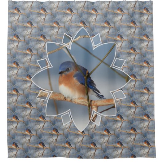Winter Bluebird Nature Bird Art Pattern Duschvorhang (Vorderseite)