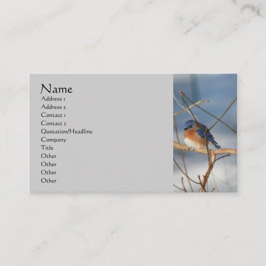 Winter Bluebird Nature Business Card Visitenkarte (Vorderseite)