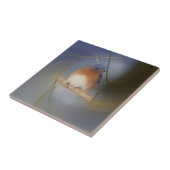 Winter Bluebird Nature Fliese (Seite)