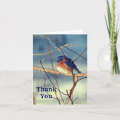 Winter Bluebird Nature individuell anpassbar Danke (Vorderseite)