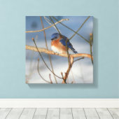 Winter Bluebird Nature Leinwanddruck (Insitu (Holzboden))