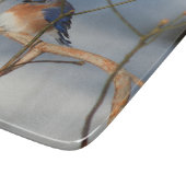 Winter Bluebird Nature  Schneidebrett (Ecke)