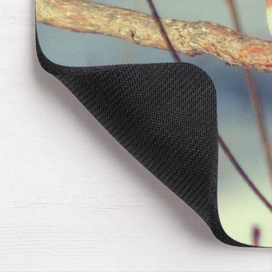 Winter Bluebird Naturschutz Mousepad (Ecke)