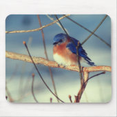 Winter Bluebird Naturschutz Mousepad (Vorne)