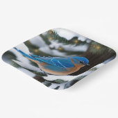Winter Bluebird Pappteller (Gewinkelt)