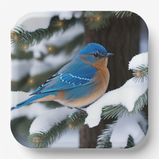 Winter Bluebird Pappteller (Vorderseite)