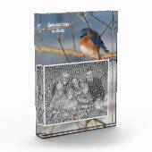 Winter Bluebird Personalisiert kreieren Fotoblock (Links)