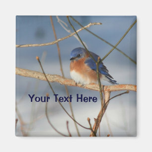 Winter Bluebird Personalisiert Magnet