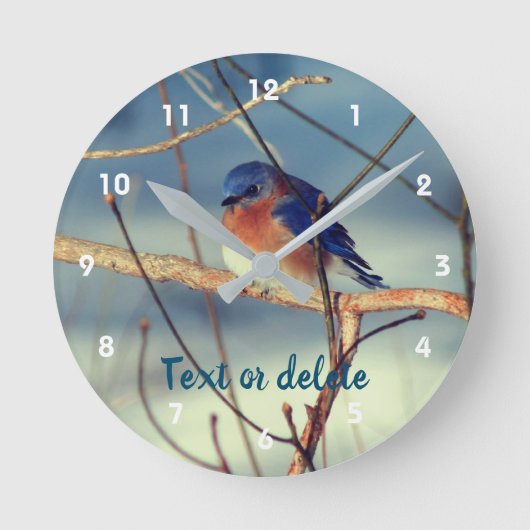 Winter Bluebird Personalisiert Runde Wanduhr (Vorderseite)