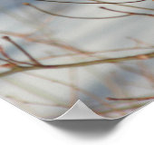 Winter Bluebird Poster (Ecke)