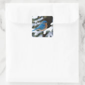 Winter Bluebird Quadratischer Aufkleber (Tasche)