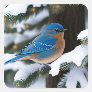 Winter Bluebird Quadratischer Aufkleber