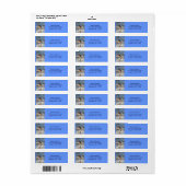 Winter Bluebird-Tieradresse (Vorne)