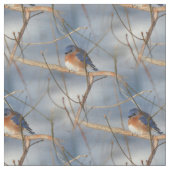 Winter Bluebird Tierart Stoff (Nahaufnahme)