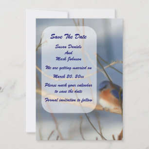 Winter Bluebird Wedding Save The Date
