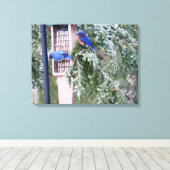 Winter Bluebirds Leinwanddruck (Insitu (Holzboden))