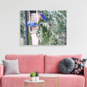 Winter Bluebirds Leinwanddruck (Insitu (Wohnzimmer))