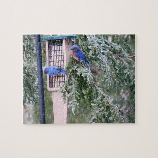 Winter Bluebirds Puzzle (Horizontal)