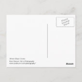 Winter Blues Circles Postkarte (Rückseite)