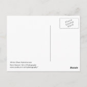 Winter Blues Icy Kaleidoscope Postkarte (Rückseite)