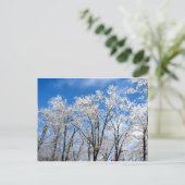 Winter-Blues Postkarte (Stehend Vorderseite)