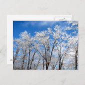 Winter-Blues Postkarte (Vorne/Hinten)