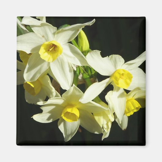 Winter-Blume Magnet (Vorne)