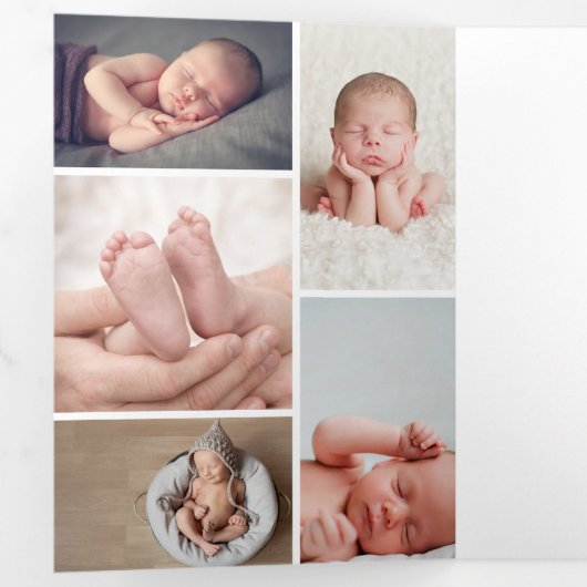 Winter Botanicals Elegantes Weihnachtsgeschenk - F Dreifach Gefaltete Einladung (Innen Erste Seite)