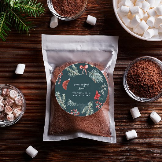 Winter Botanicals | Weihnachtsgeschenk-Aufkleber Runder Aufkleber
