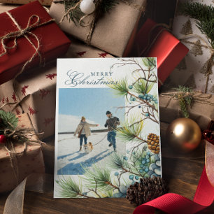 Winter Botanisches Foto Frohe Weihnachten