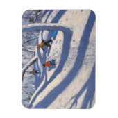 Winter Bramcote Nottingham 2008 Magnet (Vertikal)