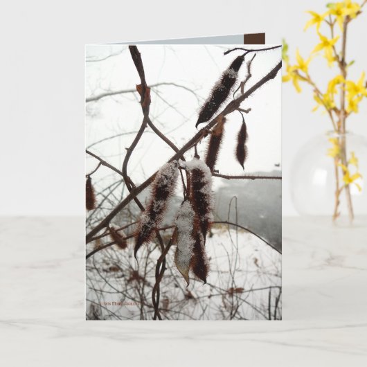 Winter-Bristly Heuschrecke Karte (Gelbe Blume)