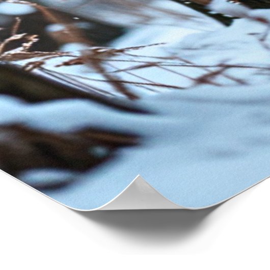 Winter Buck Poster (Ecke)