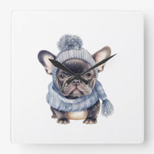 Winter Bulldog Baby in blauer Mütze und Schal 