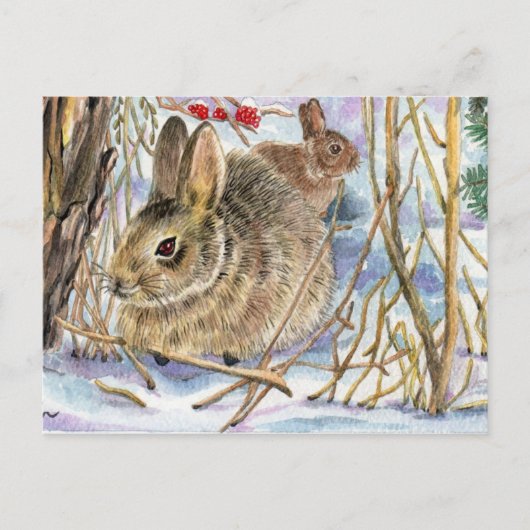 Winter Bunnies Postkarte (Vorderseite)