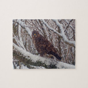 Winter-Bussard auf frostigem Ast im Waldland Puzzle