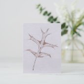 "Winter Button Oak" Landstraßen Postkarte (Stehend Vorderseite)